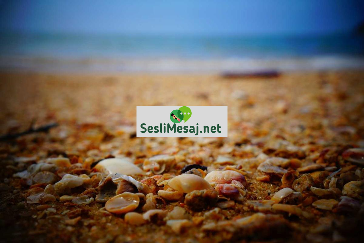 Yayıncılıkta Reklam Gelirleri Sohbeti: Pazarlama