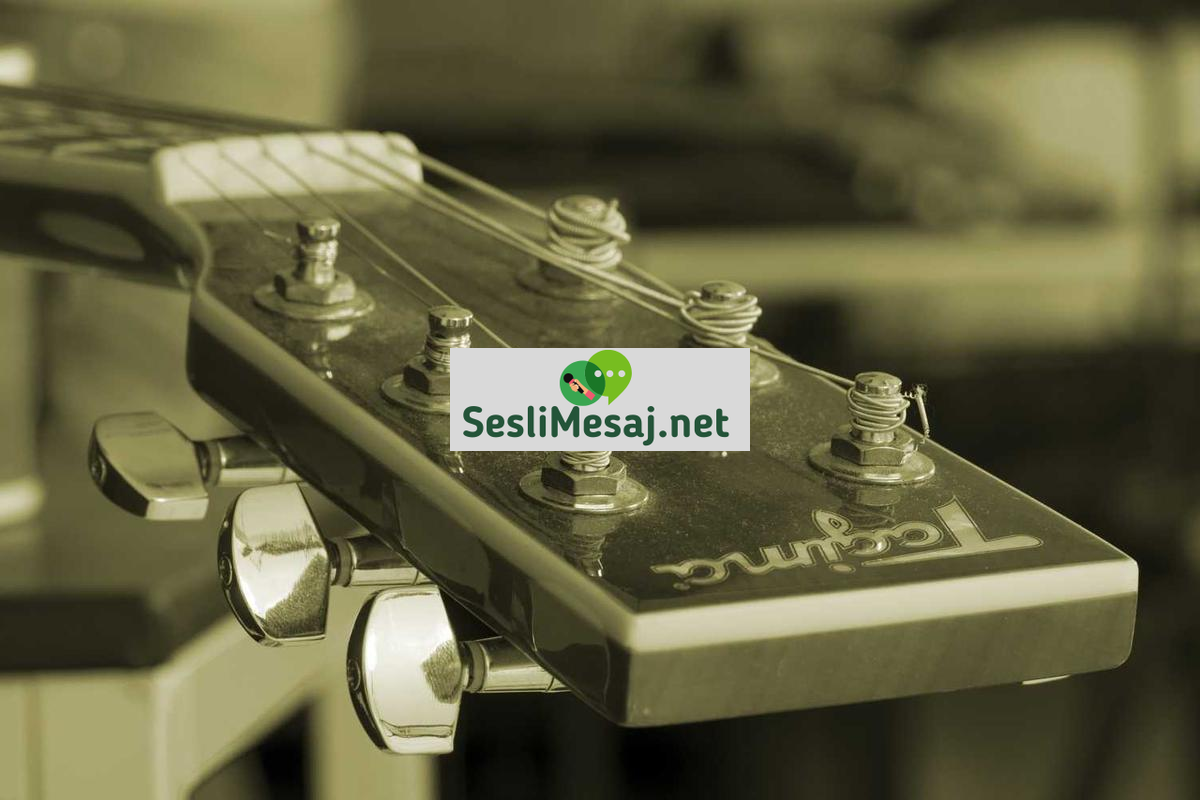 Yemek Fotoğrafçılığı Sohbeti: Görsel Sunum Teknikleri