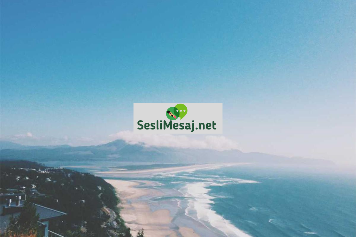 Yeni Başlayanlar İçin Fotoğrafçılık Eğitimi Sohbeti: Temel Bilgiler