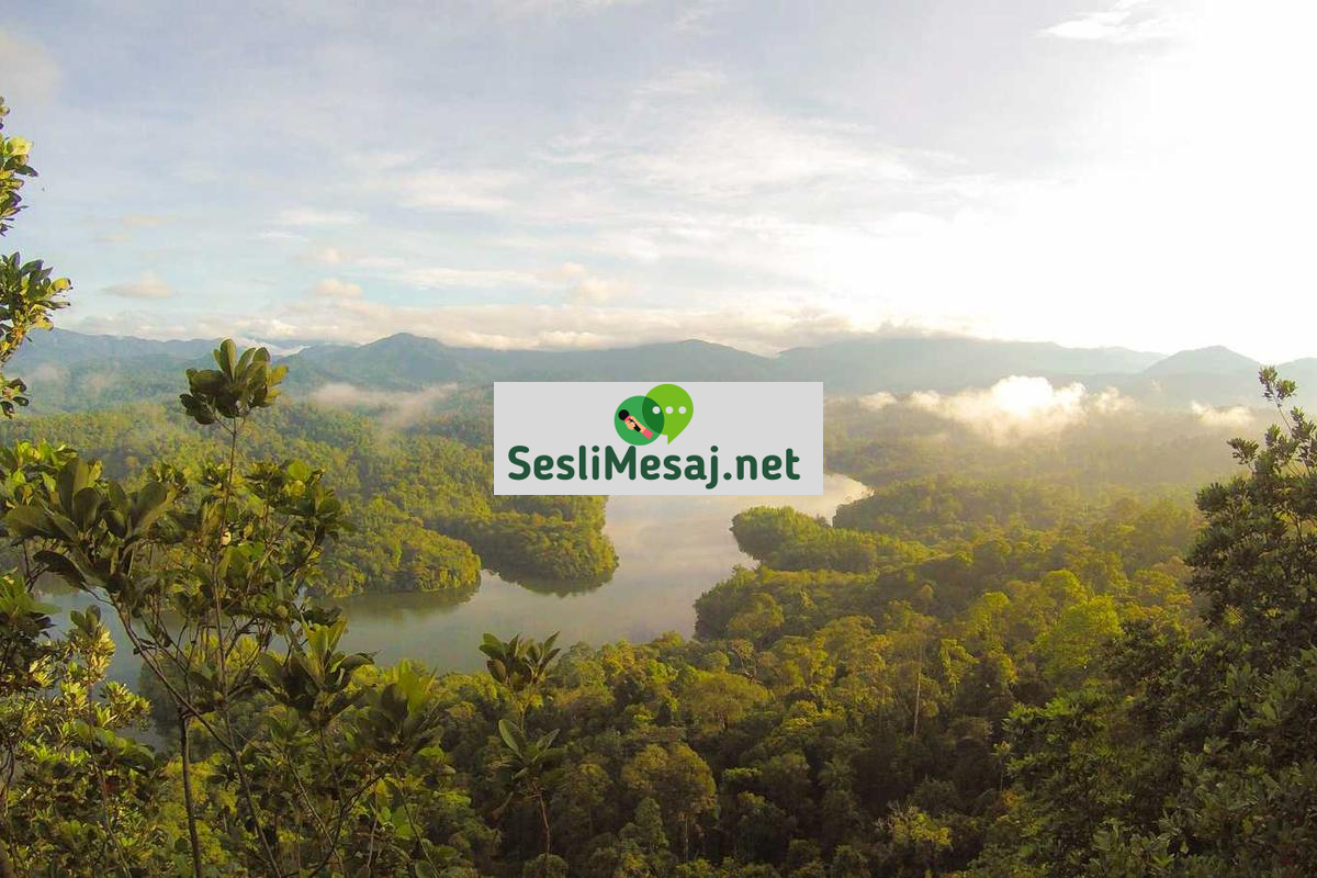 İyi Sabahlar Sohbet: Güne Pozitif Başlangıç