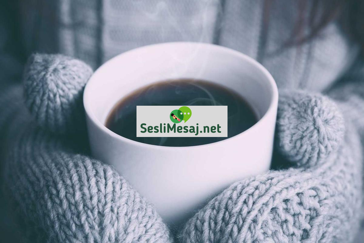 YouTube SEO Sohbeti: Video İçerik Optimizasyonu