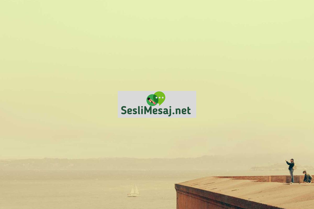 Ağ Güvenliği Sertifikaları Sohbeti: CCNA ve Benzerleri