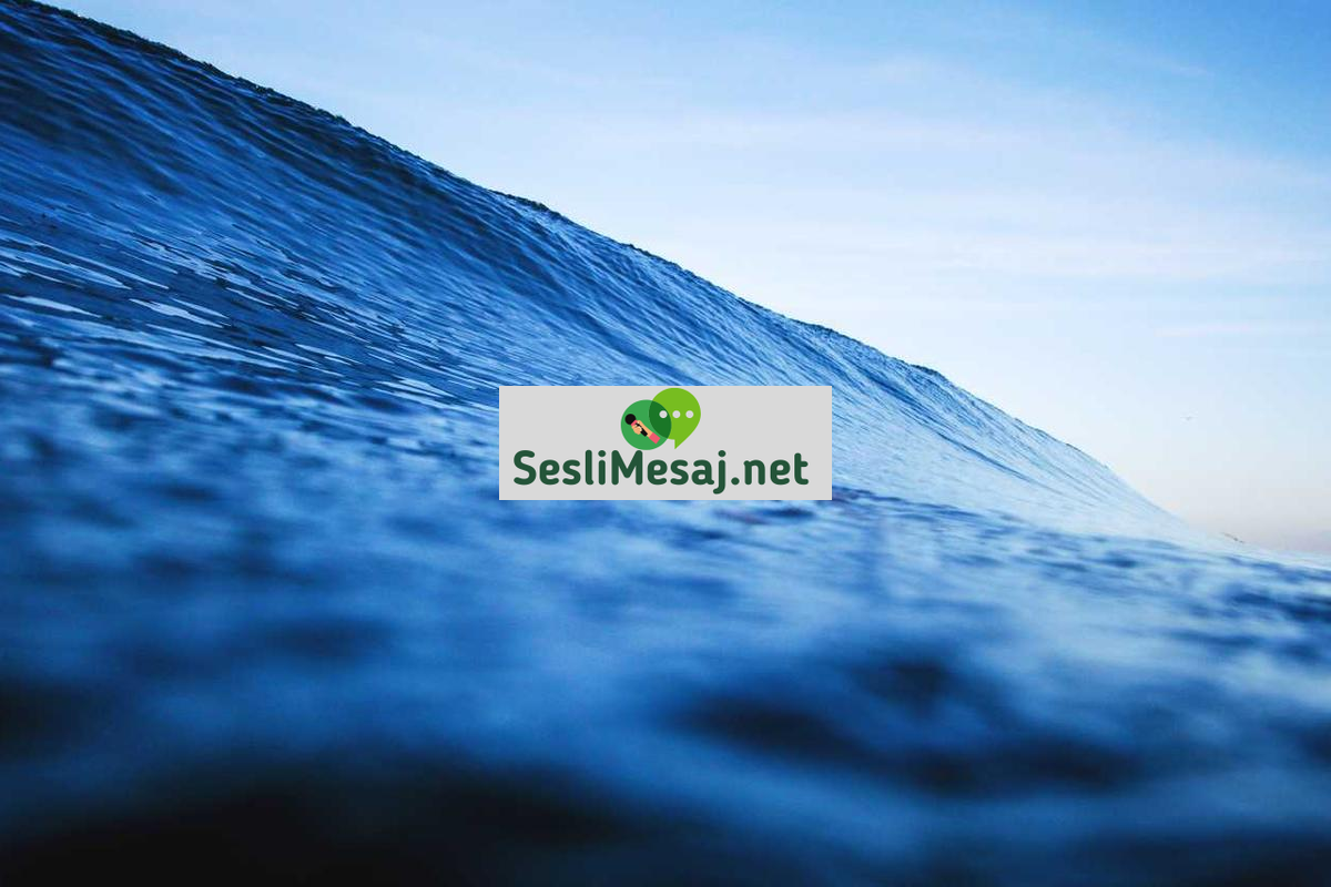 AI Chat Sohbetleri: Yapay Zeka ile İletişim Deneyimi