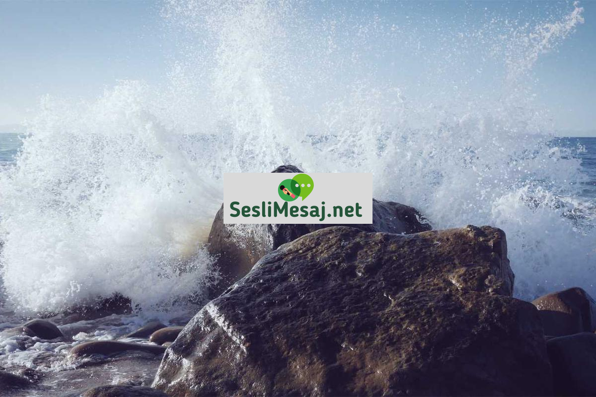 AI Chat Sohbetleri: Yapay Zeka ile İletişim Deneyimi