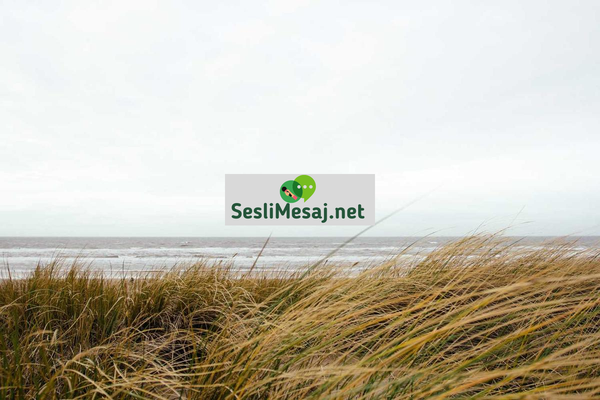 Aşk Acısıyla Başa Çıkma Sohbeti: Duygusal İyileşme