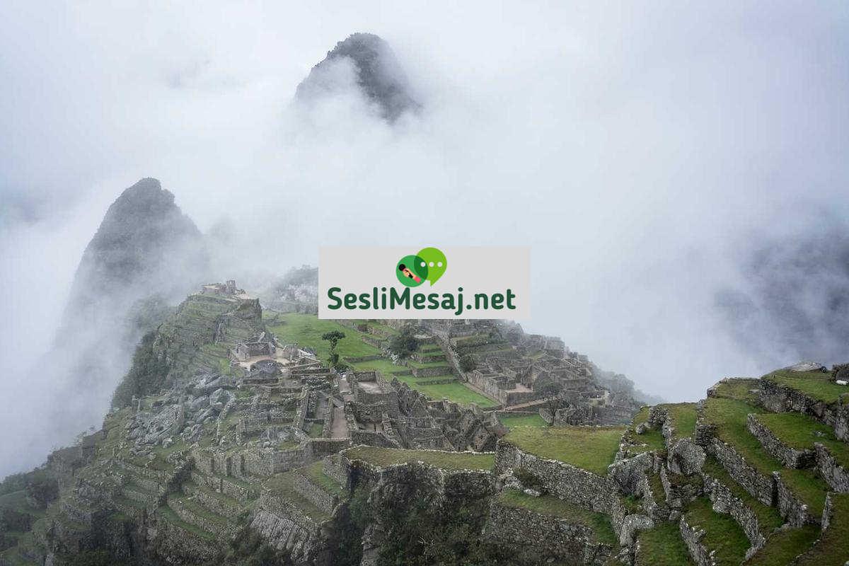 Akşam Sohbet: Gün Sonu Rahatlama ve Sosyalleşme