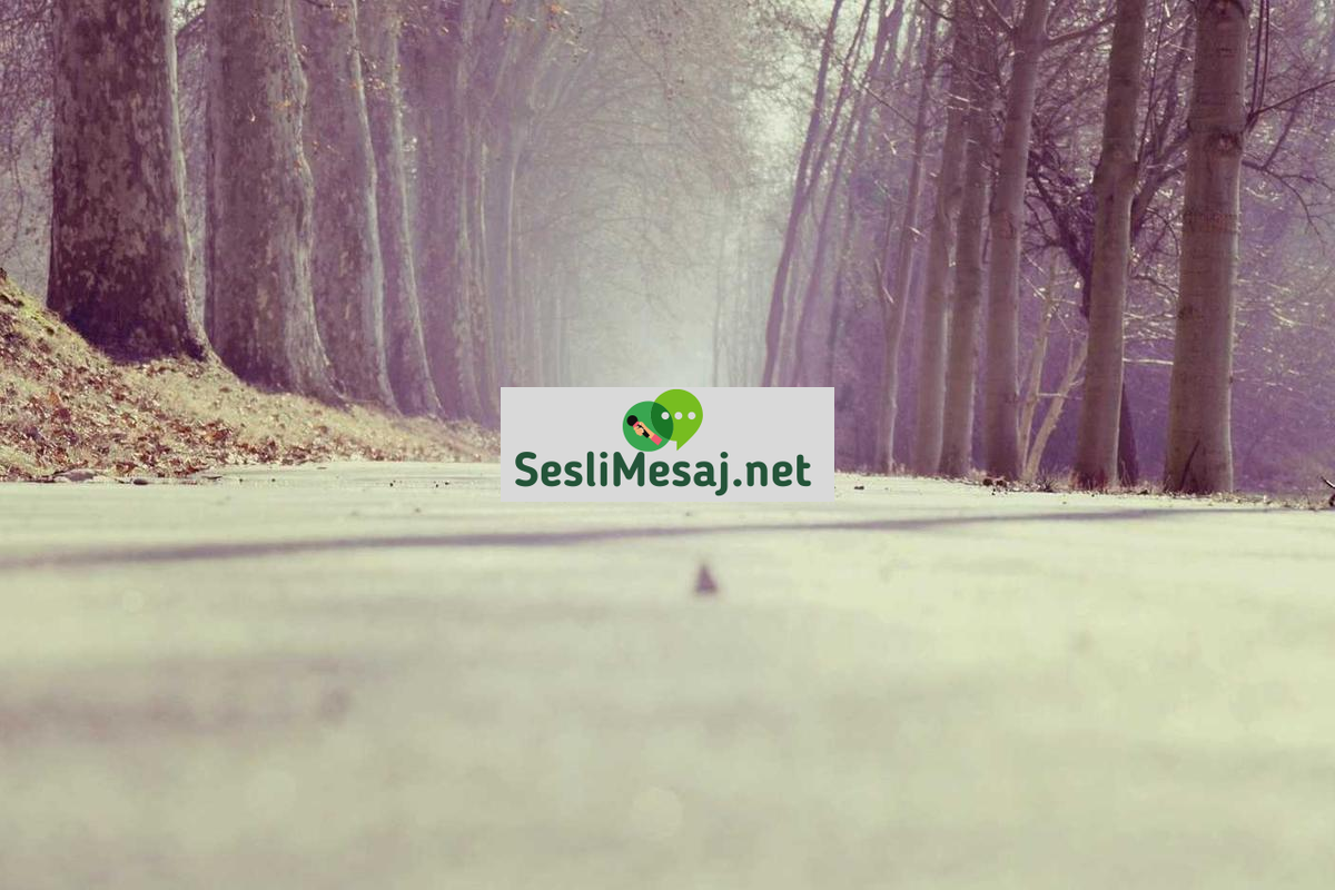 Aşk İlişkisinde Kavga Yönetimi Sohbeti: Çözüm