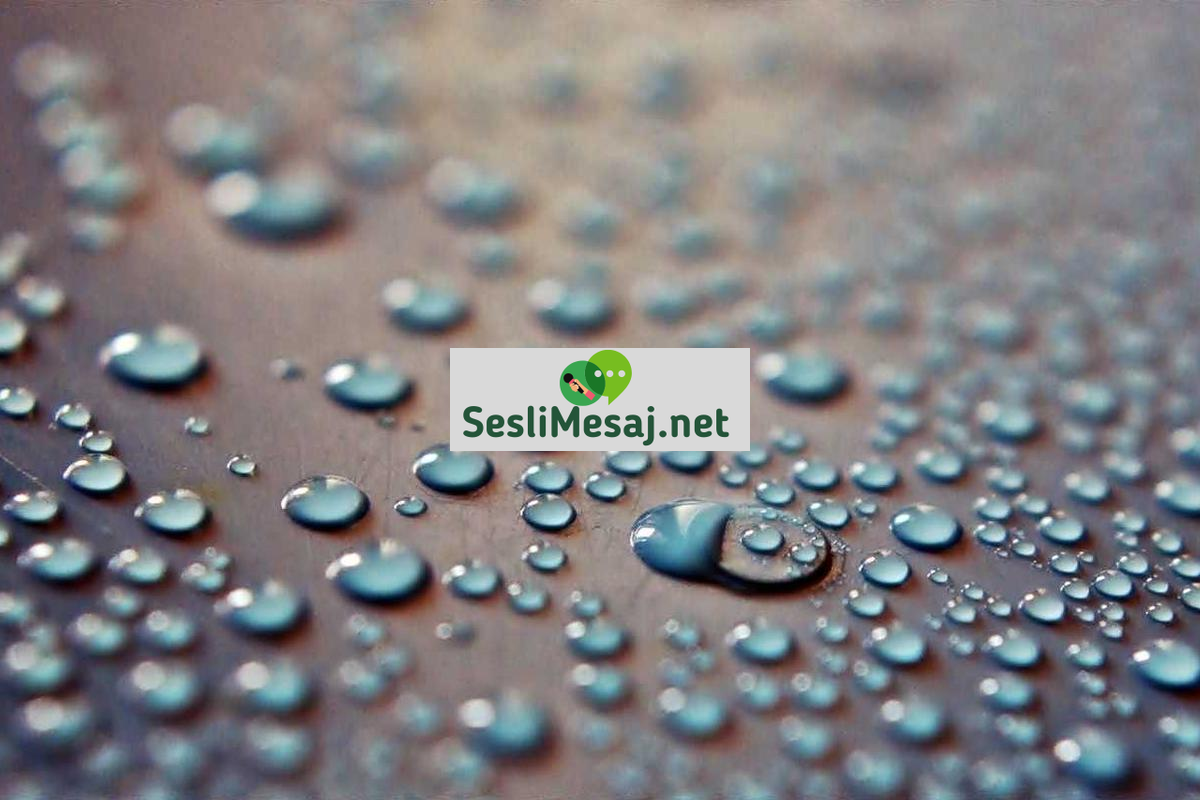 Aşk İlişkisinde Sorun Çözme Teknikleri Sohbeti: İletişim