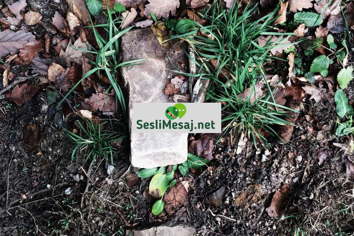 Aşk İlişkisinde Sorun Çözme Teknikleri Sohbeti: İletişim