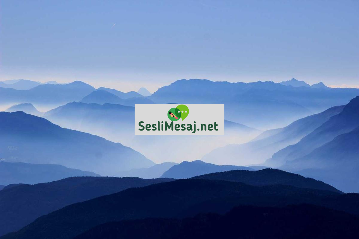 Akıllı Telefon Seçimi Sohbeti: En İyi Modellerin Karşılaştırması