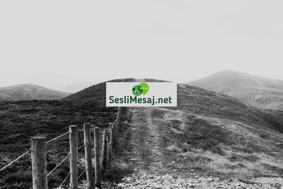 Alternatif Chat Siteleri: Farklı Özellikler Arayanlar İçin İnceleme