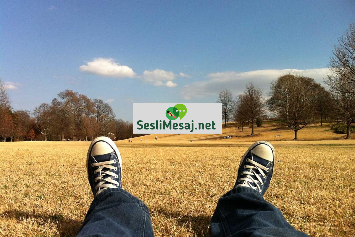 Antika Eşya Sohbeti: Eski Eserlerin Değeri ve Bakımı