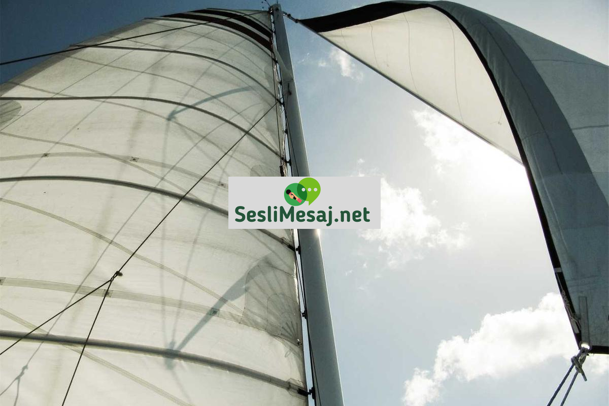 Antik Felsefeciler Sohbeti: Platon, Aristo ve Etkileri