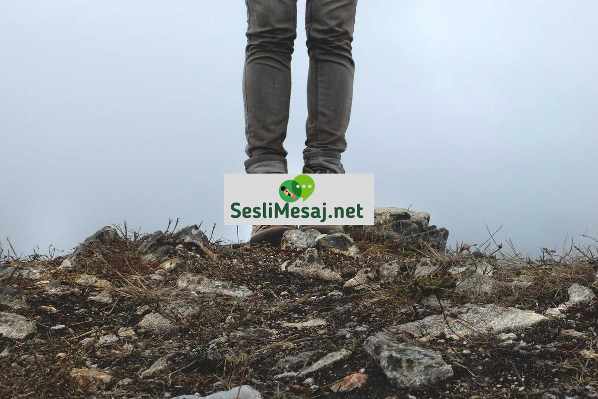 Arkadaş Bul Chat: Dijital Ortamda Kalıcı Dostluklar