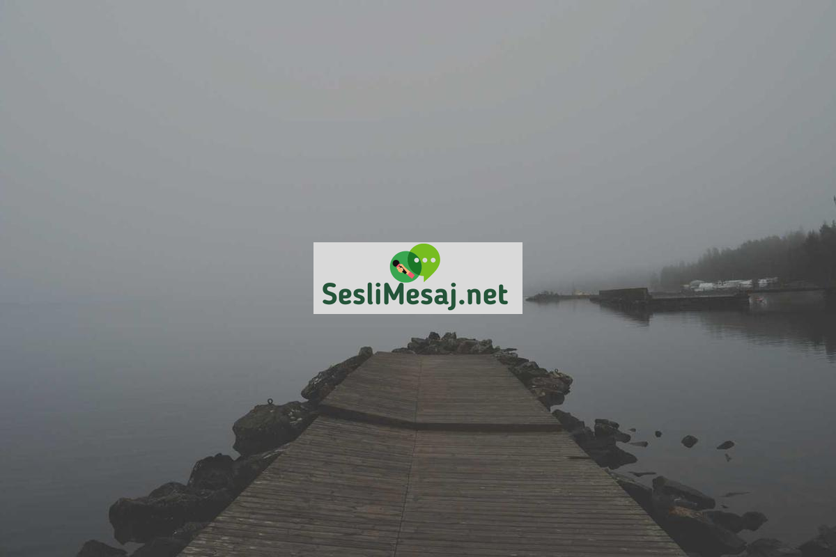 Şarkı Sözü Yazma Sohbeti: Söz Yazarlığı Teknikleri