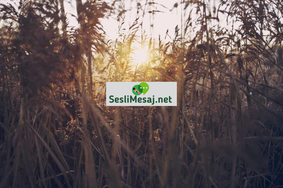 Askeri Teknoloji Sohbeti: Savunma Sanayi ve İnovasyon