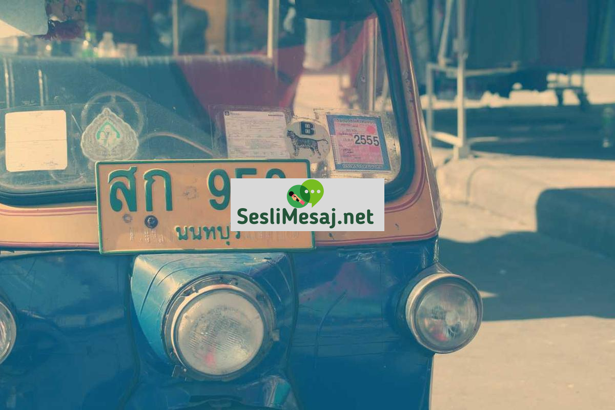 Astrolog Sohbeti: Gezegen Hareketlerinin Analizi