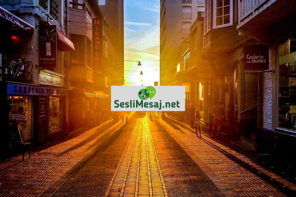 Astroloji ve Finansal Rehberlik Sohbeti: Yatırım