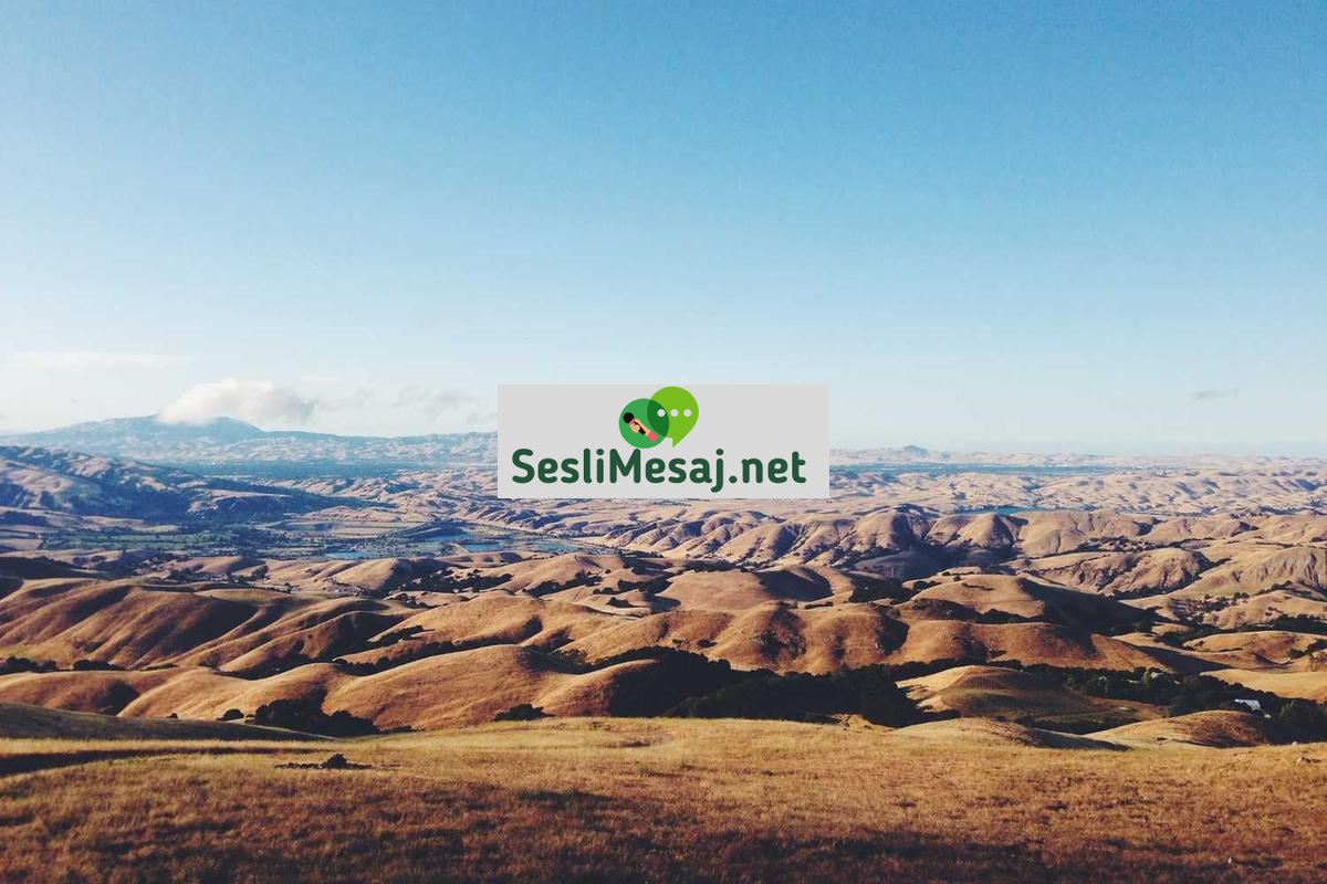 Astroloji ve Finansal Rehberlik Sohbeti: Yatırım