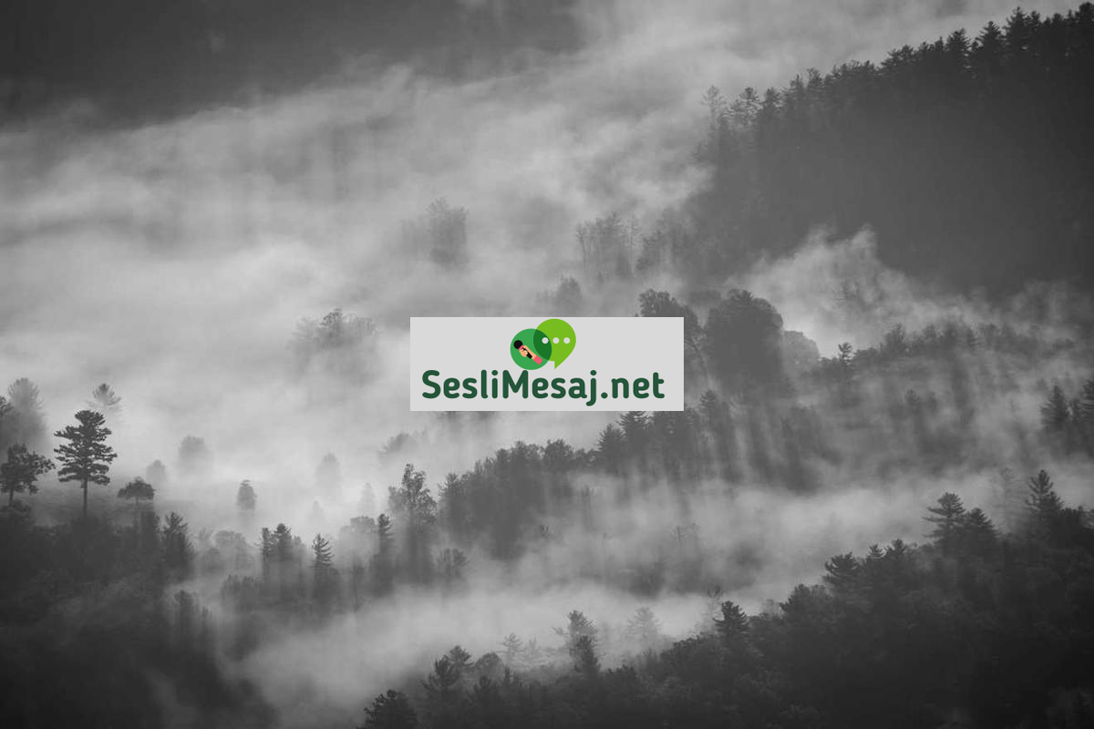 Astroloji ve Finansal Rehberlik Sohbeti: Yatırım