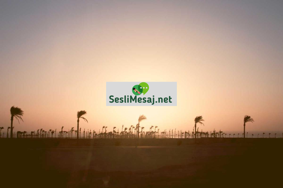 Astroloji ve Finansal Rehberlik Sohbeti: Yatırım