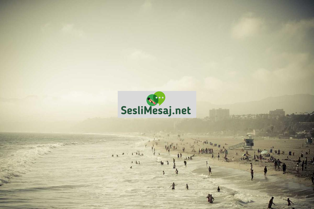 Astroloji ve İlişki Danışmanlığı Sohbeti: Rehberlik