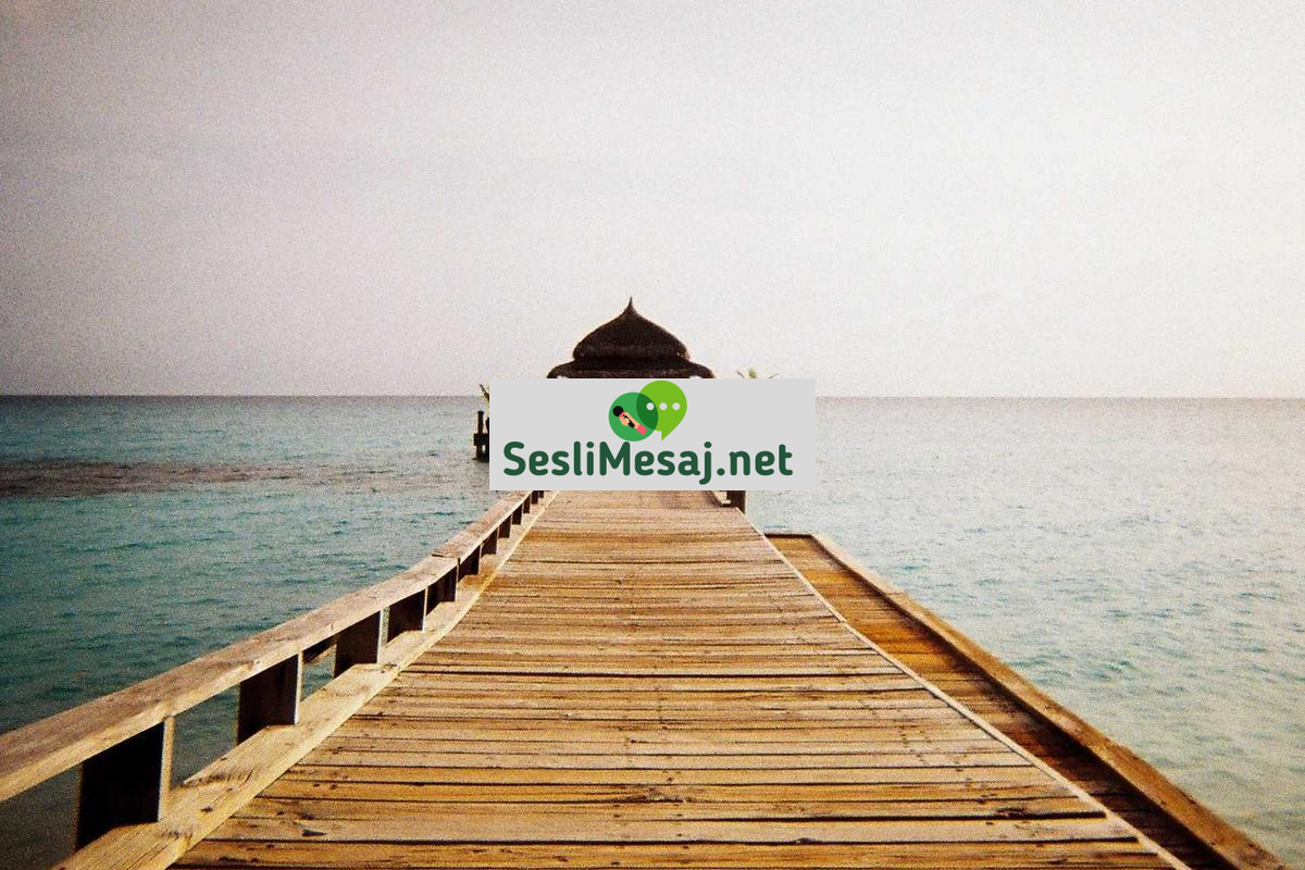 Astroloji ve İlişki Uyumu Analizi Sohbeti: Partner Seçimi