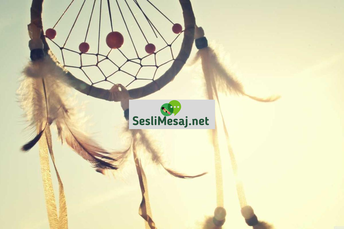 Astronomi Chat: Gökyüzü Gözlemleri ve Bilim