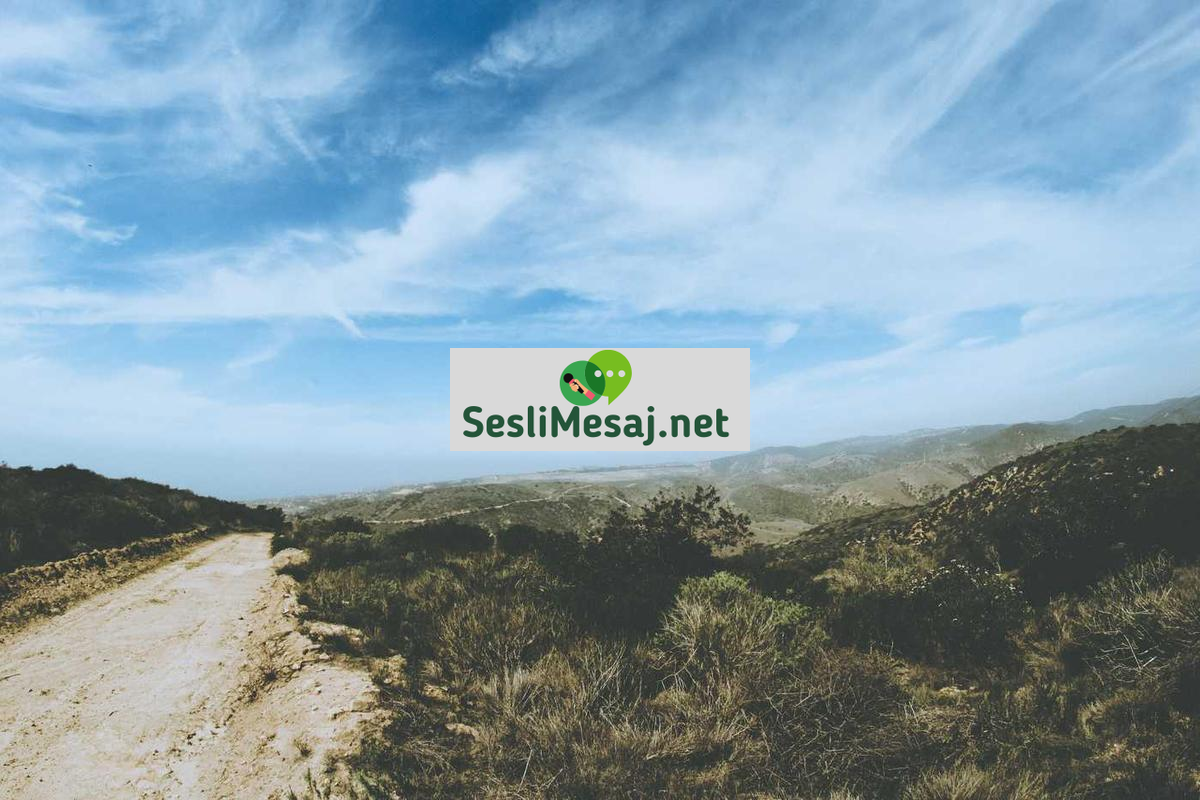 Azar Görüntülü Sohbet: Rastgele Görüntülü Bağlantılar