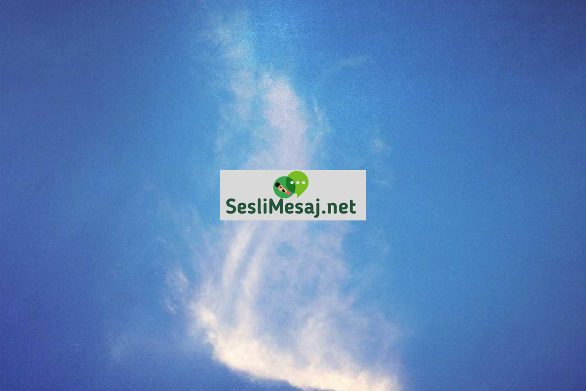 Backend Sohbet: Sunucu Tarafı Geliştirme