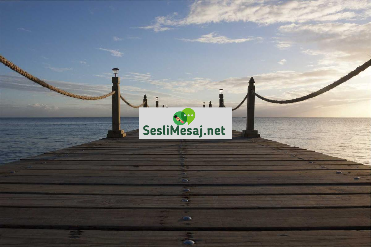 Balıkçılık Chat: Balık Tutma Teknikleri ve Deneyimler