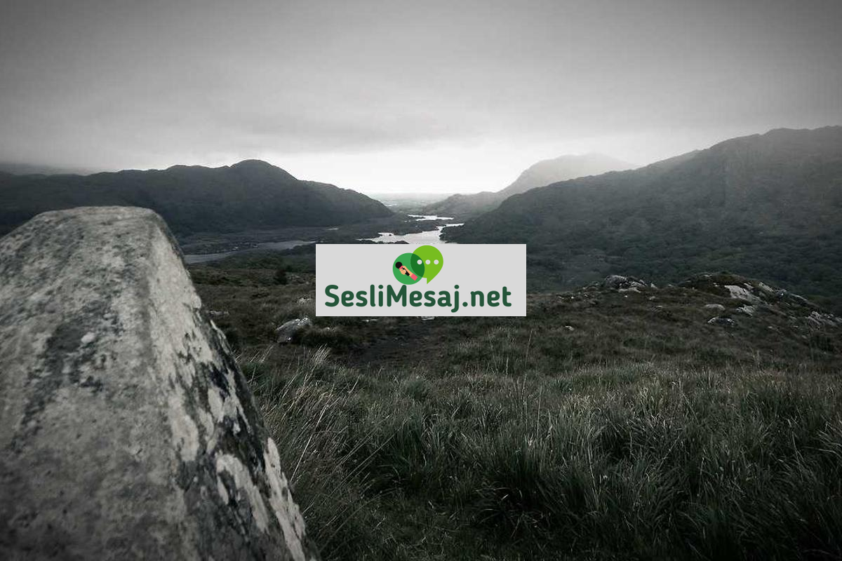 Banka Kredileri Sohbeti: Konut, İhtiyaç ve Taşıt Kredisi