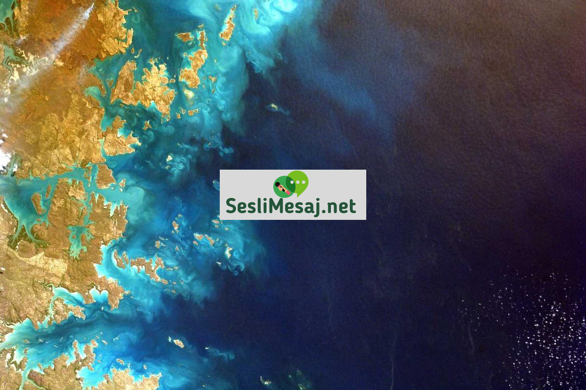 BiP Canlı Chat: BiP Uygulamasında Anlık Yazışma