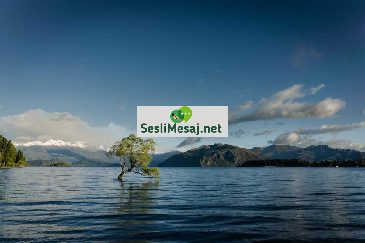 Blockchain Uygulama Geliştirme Sohbeti: Yeni Nesil Teknolojiler