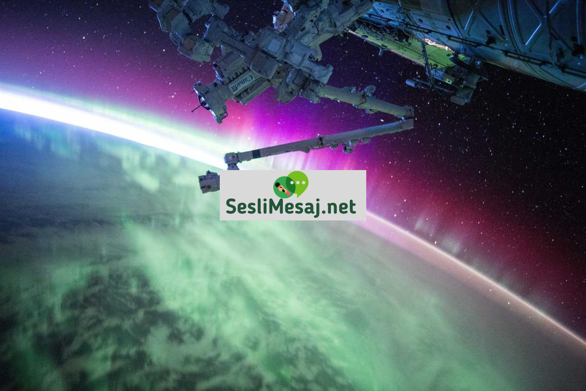 Boks ve MMA Sohbeti: Dövüş Sporları Analizleri