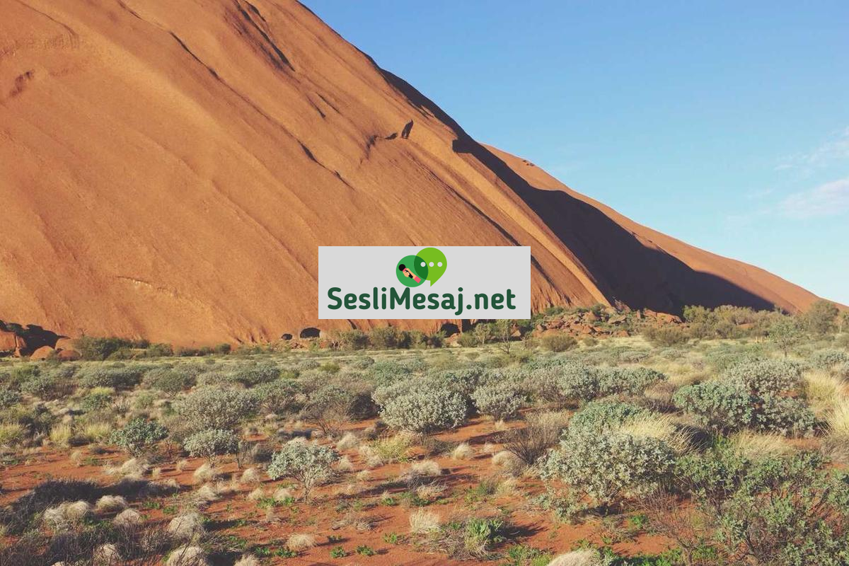 Bulut Bilişim Sohbeti: Depolama ve Hizmetler