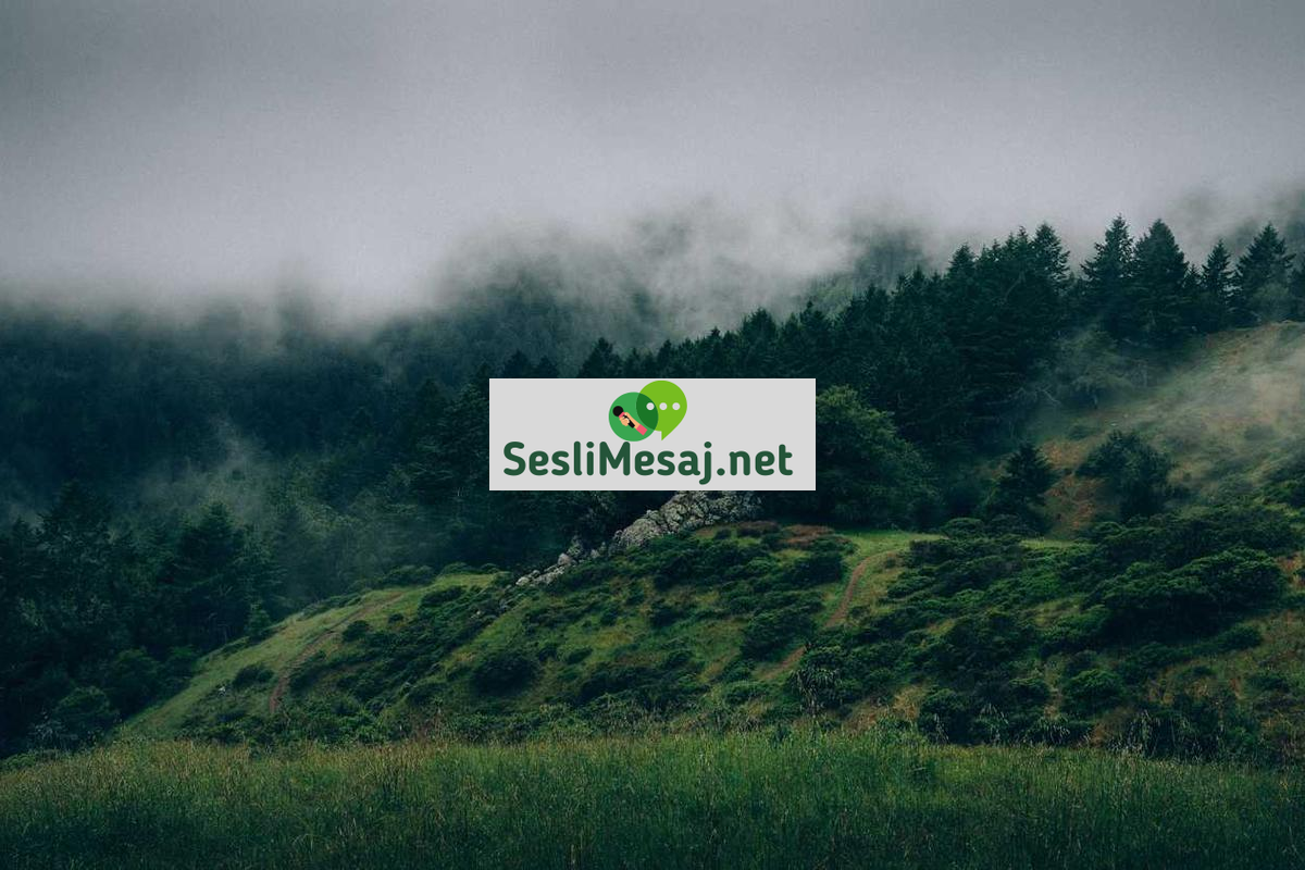 Burç Sohbeti: Yıldız Haritaları ve Karakter Analizleri