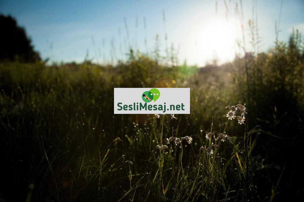 Canlı Yayın Sohbet: Etkileşimli Yayıncılığın Geleceği