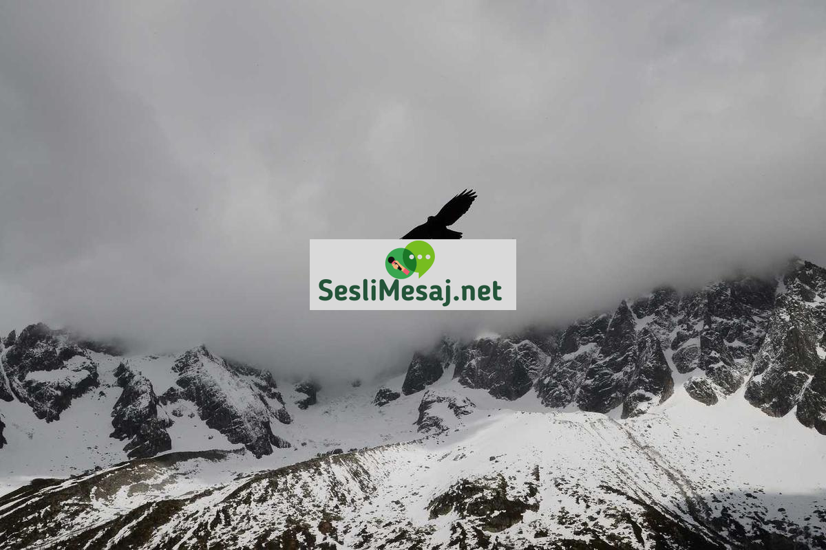 Chat Alternatifleri: Farklı İletişim Yöntemleri