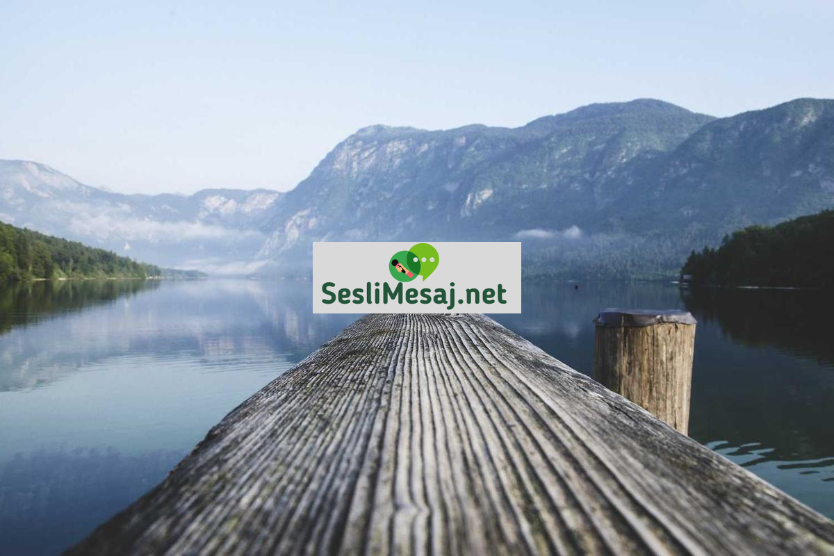 Chat Botları: Müşteri Hizmetlerinden Sohbet Arkadaşlığına