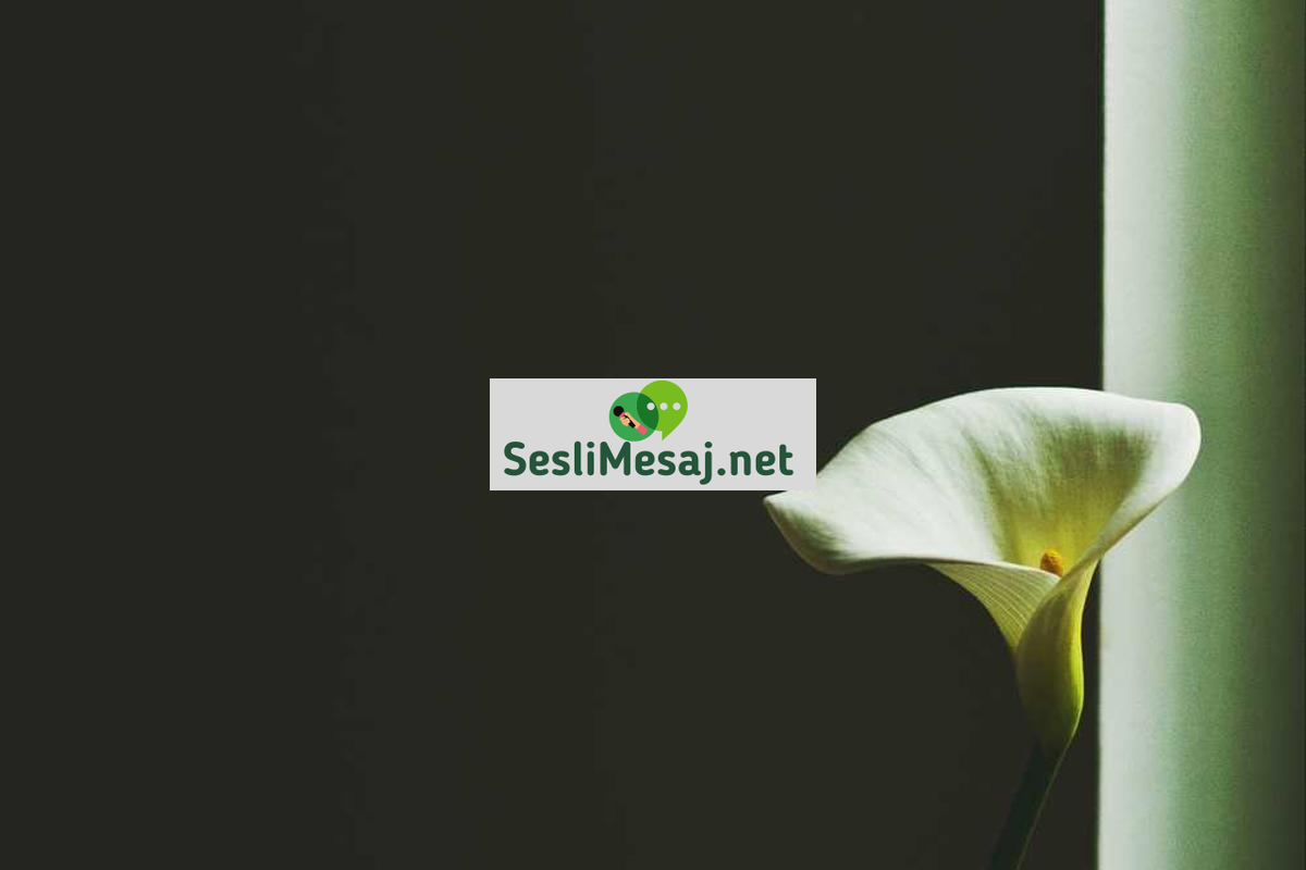 Chat Dating: Çevrimiçi Flörtte Başarılı Olmanın Sırları