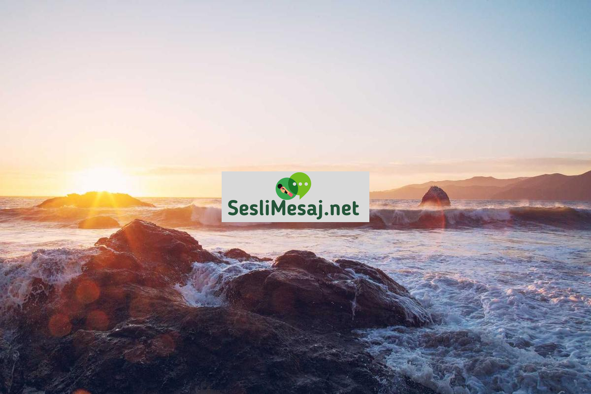 Chat Magazin Sohbeti: Ünlüler ve Sosyal Medya Dedikoduları