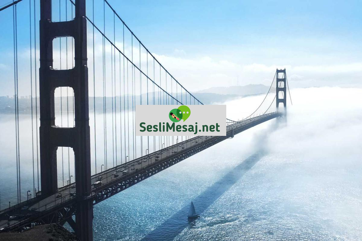 Chat Rehber Yazıları: Platform Kullanım Kılavuzları