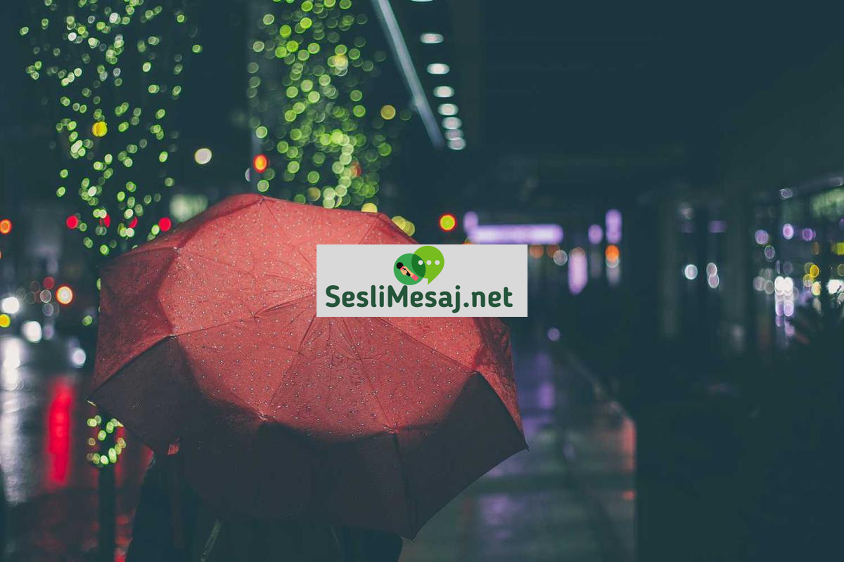 Chat SEO Başlıkları: Arama Motorlarında Görünürlük