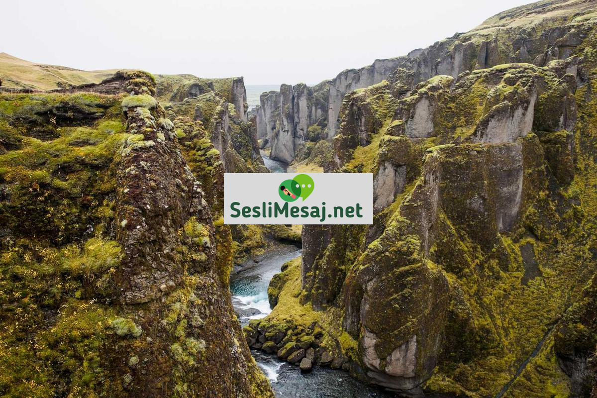 Chat Uygulamaları: En Popüler İletişim Araçları