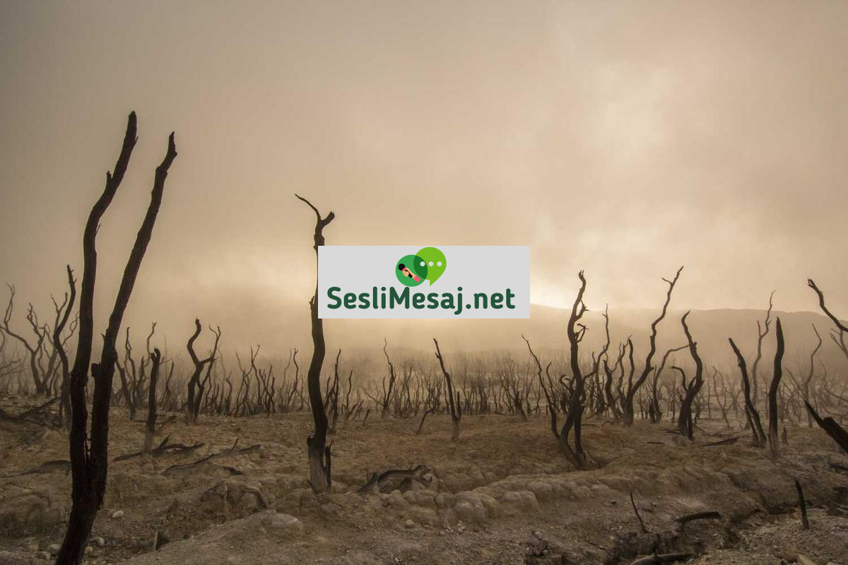 Chat Yardım Merkezi: Kullanıcı Sorunlarına Hızlı Çözümler