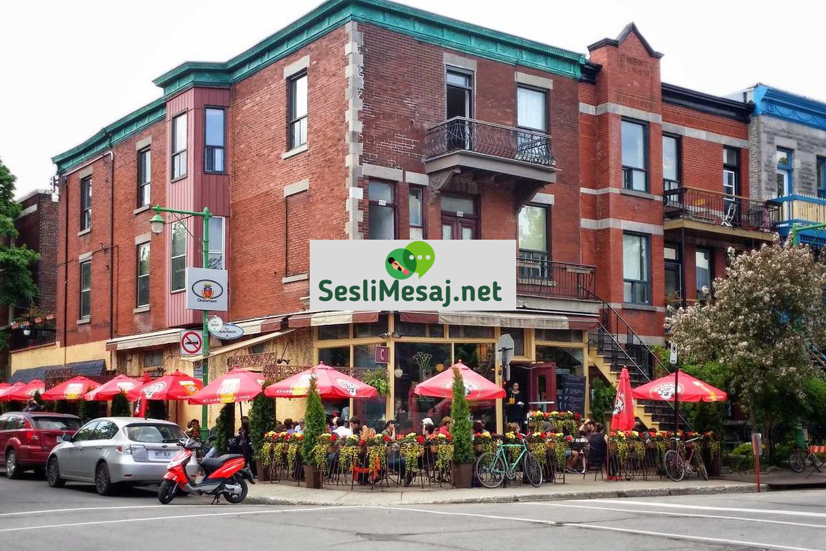 CV’de Yapay Zeka Kullanımı Sohbeti: Otomatik Başvuru