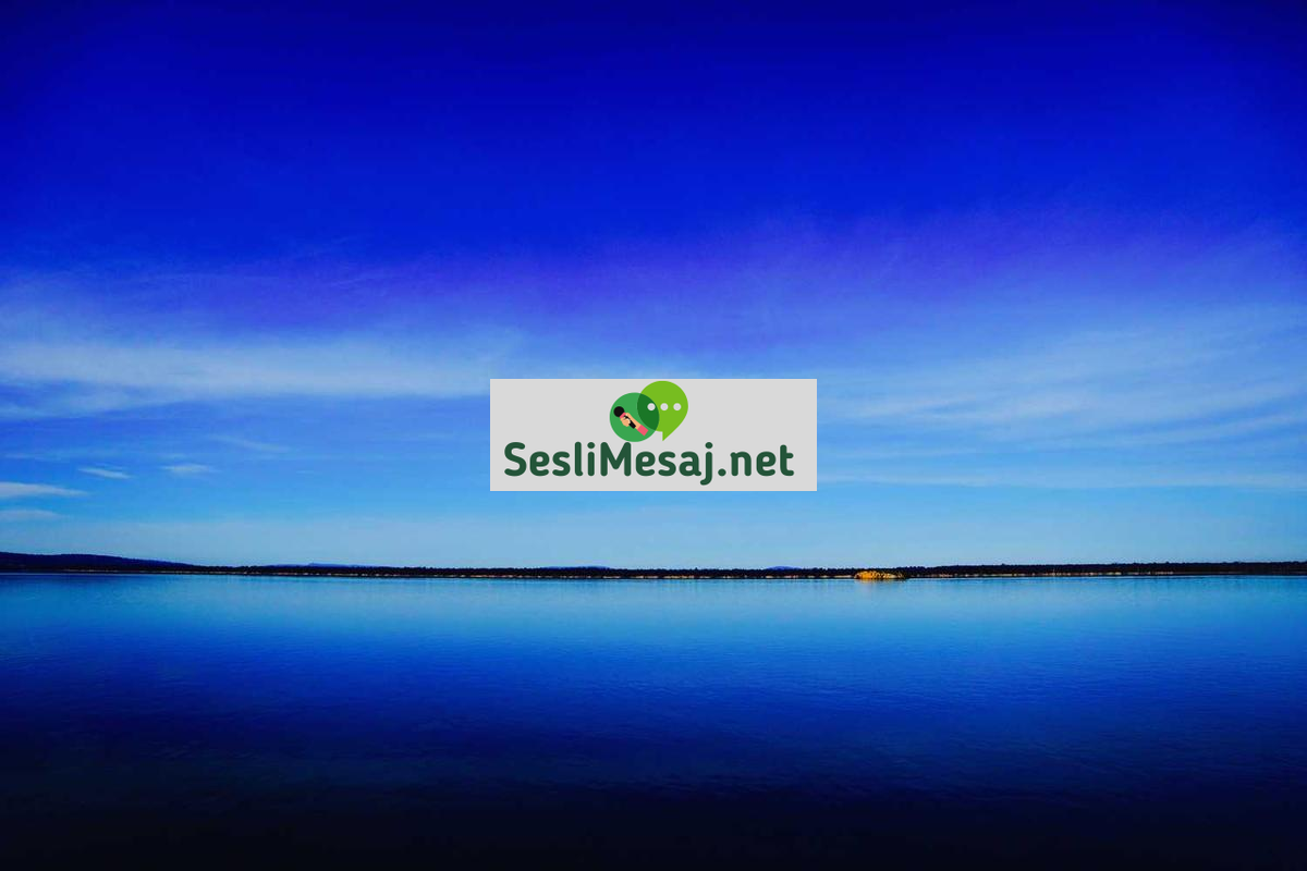 Dark Web Sohbeti: Merak ve Risk Arasındaki İletişim