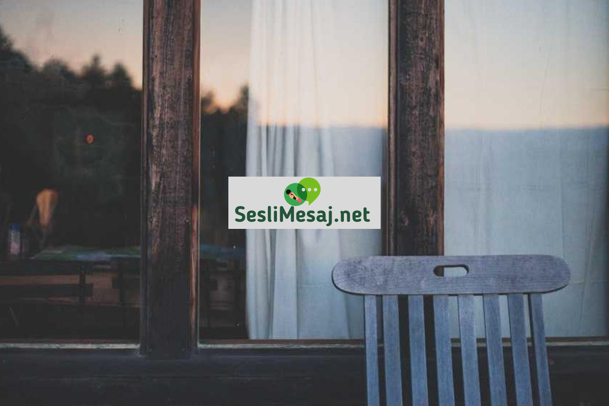 Deneme Yazma Sanatı Sohbeti: Kişisel Görüşler ve Fikirler