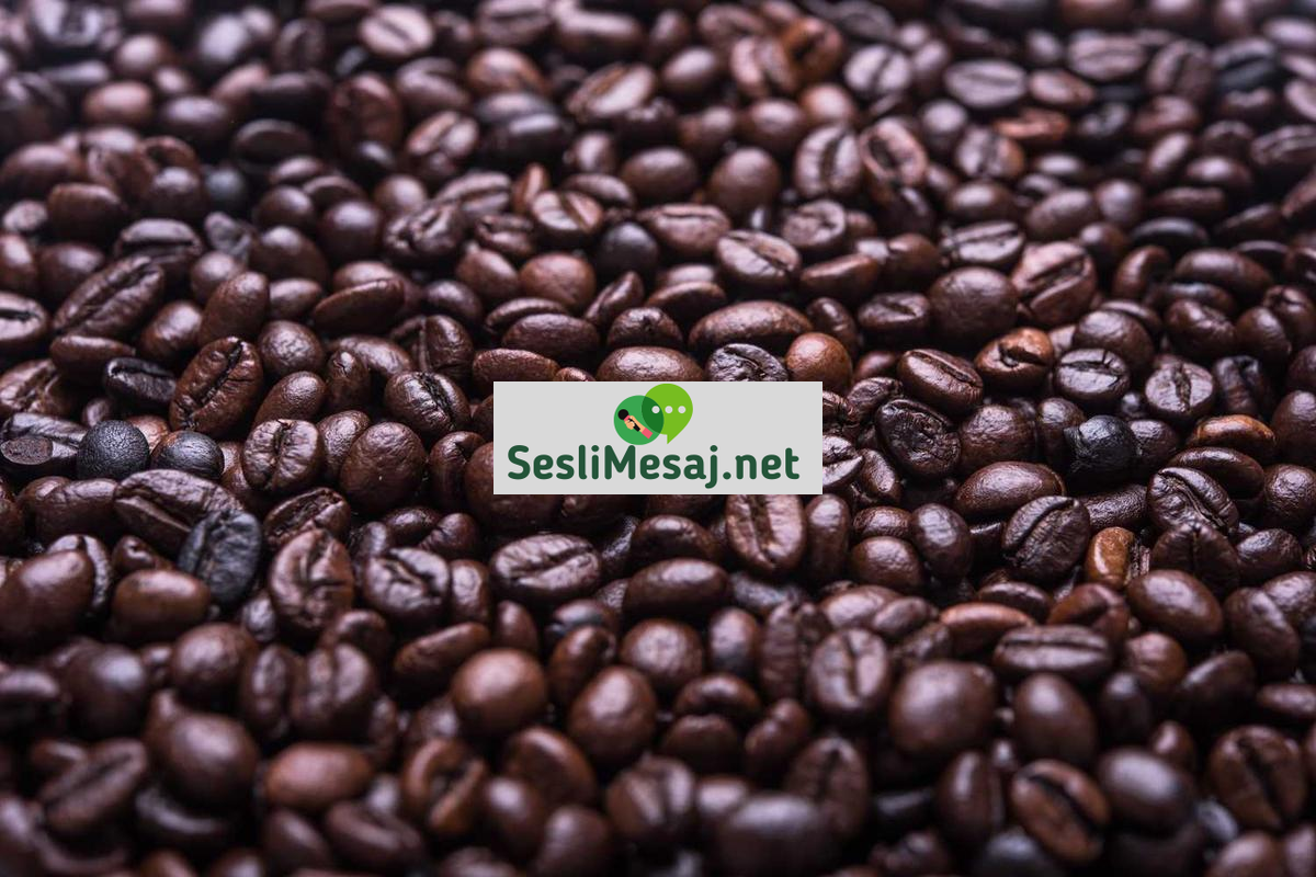 Derin Uzay İletişimi Sohbeti: Dünya Dışı Sinyaller